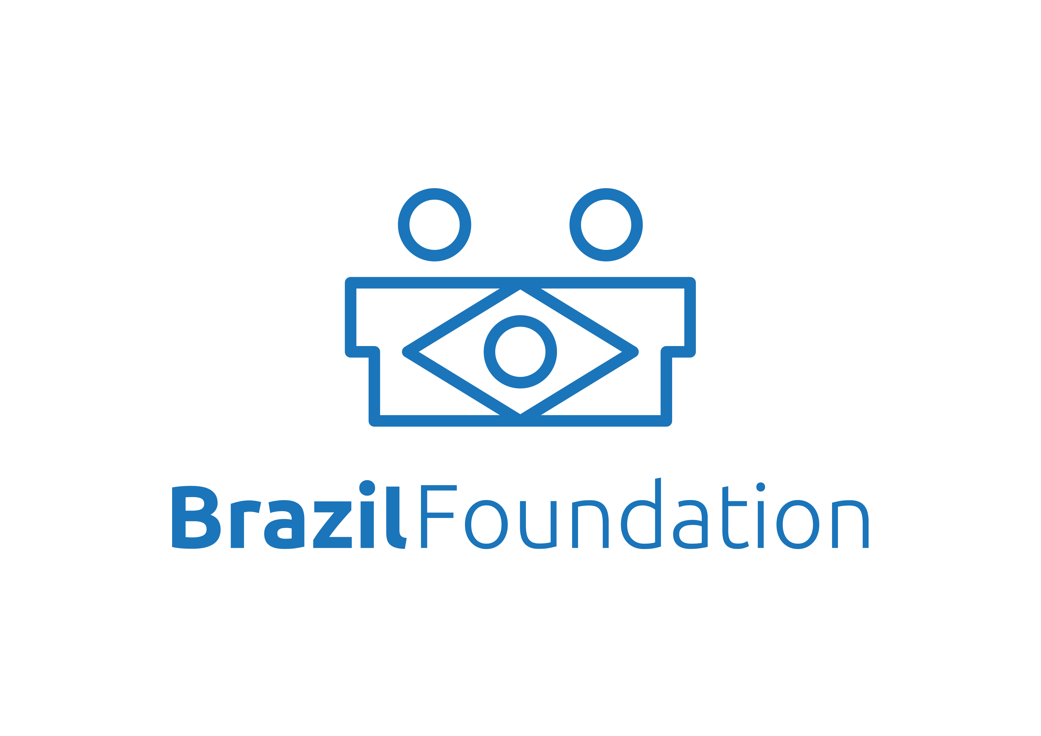 Brazil Foundation